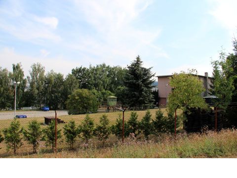 Foto 41